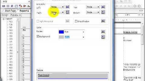 14 Crystal ReportsXI Designing a Basic Report   Basic Formatting