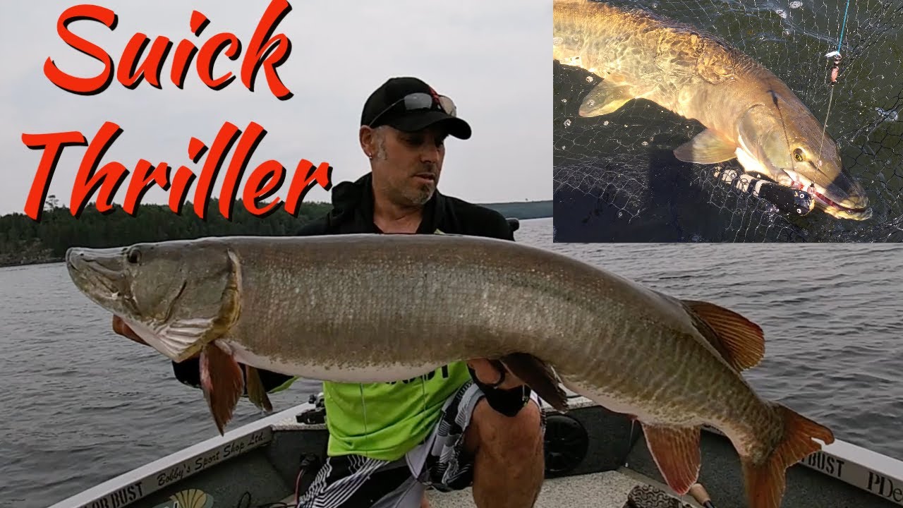 SUICK LURE COMPANY THRILLER!! 9, 10, 12 and Frankensuick underwater  footage! 