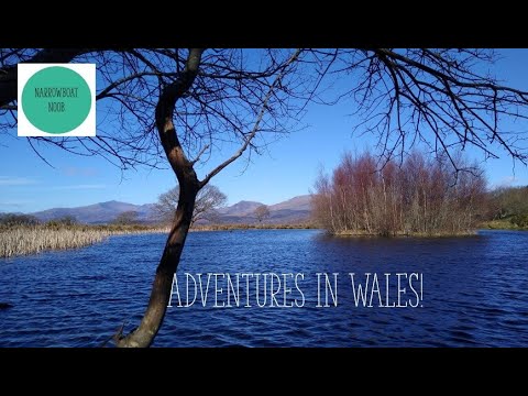 4B.  Holiday Special - a week in Wales!