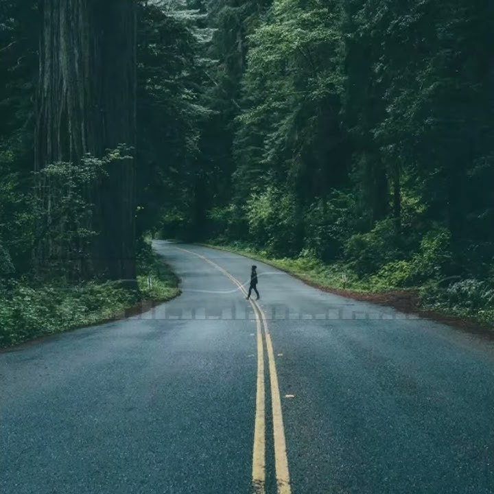 Maroon 5 - Girls and liie you Keren buat story wa☑️☑️☑️🎵