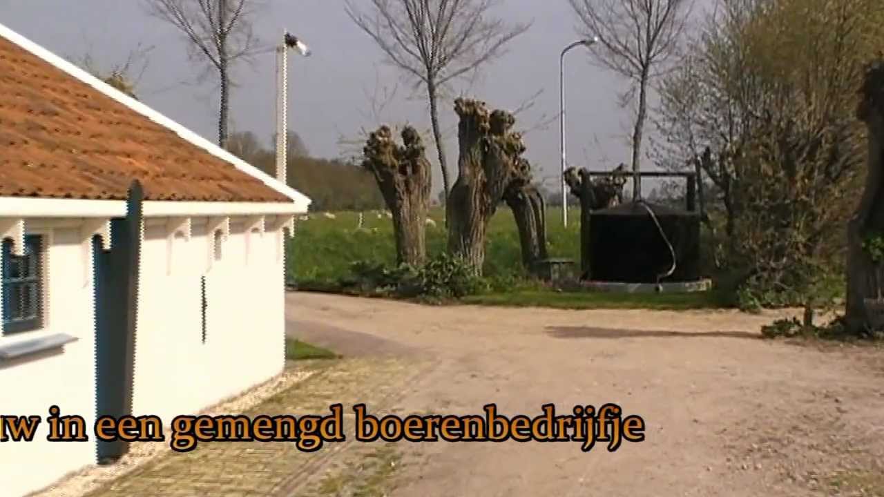 2010 04 25 museum huis van oud youtube