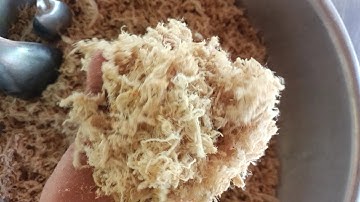 របៀបធ្វើសាច់ជ្រូកផាត់, ឬបាក់យ៉ុង How to make Pork,วิธีทำหมูหยอง