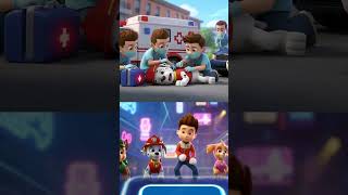 Paw Patrol Pup Gets Sick Emotional Video Scary Chase Vs Ryderxcoffin Dance Tileshop Edmrush