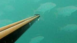 North West Island Spearfishing Trip (Part 1)