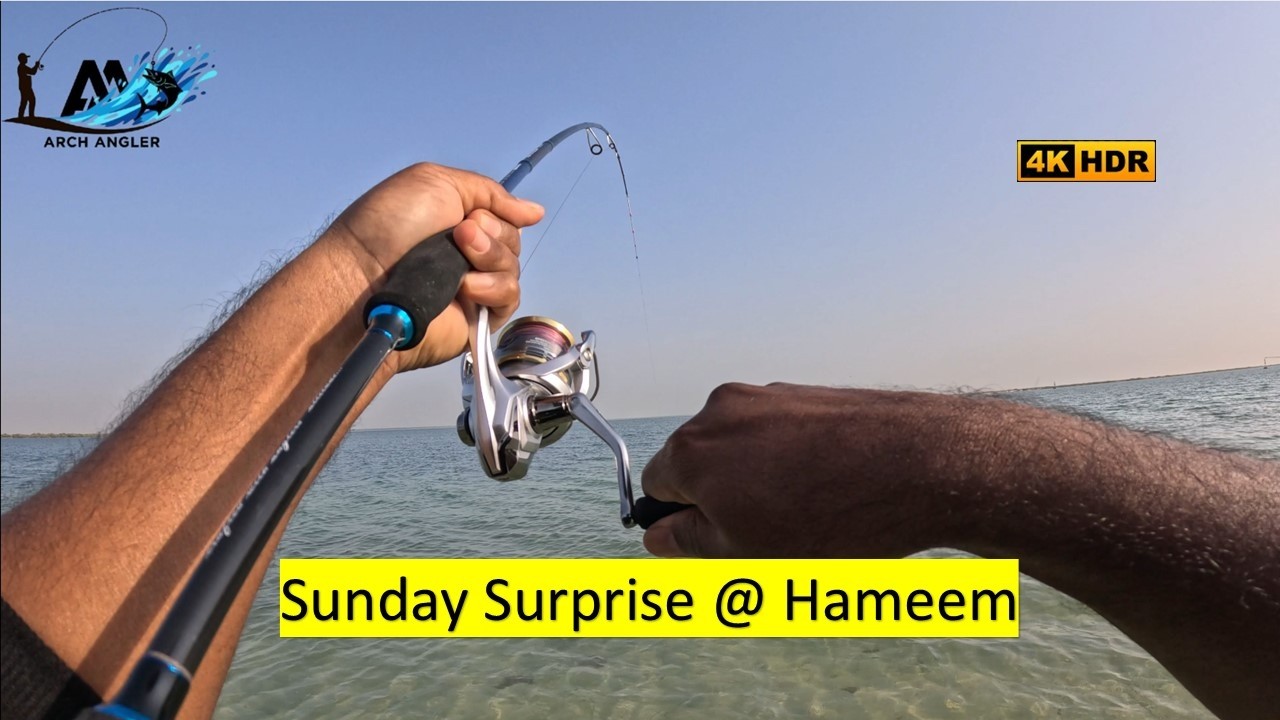 На пляже Хаммем также можно поймать GT (турецкого каранкса) | Смотрите! | Рыбалка в Абу-Даби | Ar...