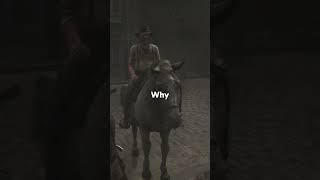 Why Does This Horse Have a Mustache?