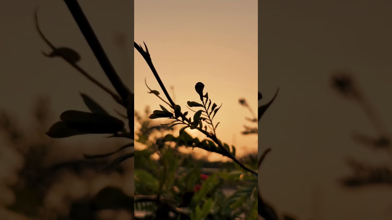 iQOO NEO 6 VIDEO TEST