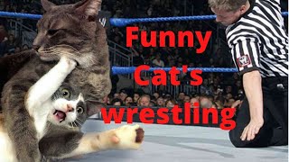 Funny Cats Wrestling, See And Laugh. Episode- 52