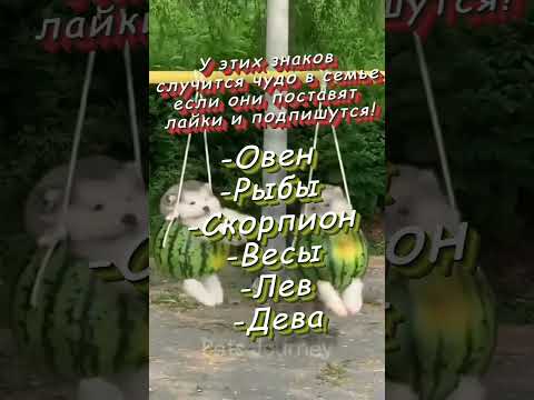 Если человек снится bboulais #astrology #гороскоп #астрология
