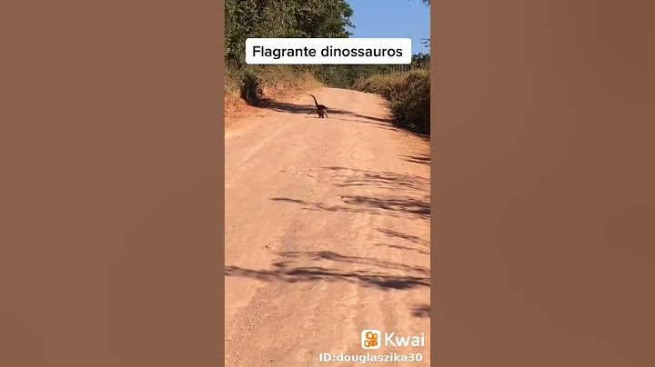 #shorts dinossauro , visto em Minas gerais