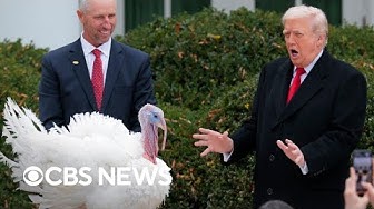 Thumbnail for The origins of the presidential turkey pardon