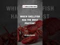 The Shellfish With the Most Protein?