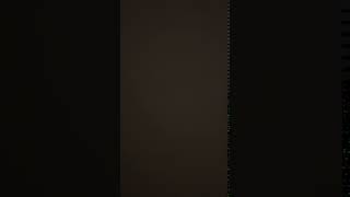 IMG 0958