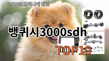 쿠팡알리 뱅퀴시3000sdh 알리익스프레스 가성비템 TOP10 - 직접 써봤습니다