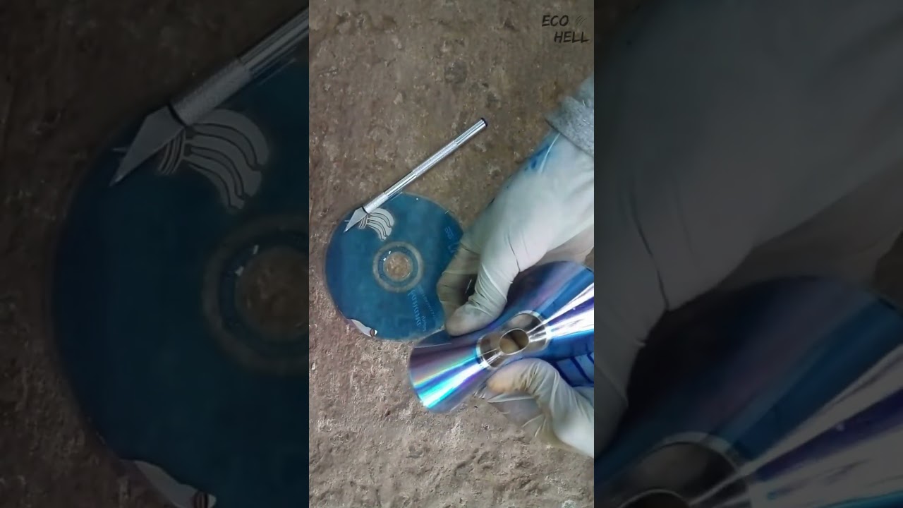 What's in a DVD 🤔💿 