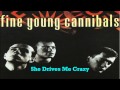 Fine young cannibals  she drives me crazy
