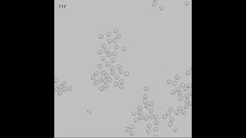 Example Video File.avi