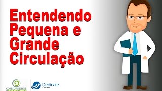 De tipos são quais dois circulação sanguínea os