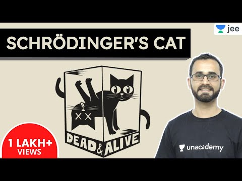 Schrodinger&rsquo;s Cat | Dead or Alive | JEE Chemistry | Unacademy JEE | Paaras Sir