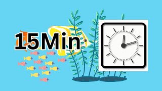 15 Minute Timer Under the Sea | Fish | Plants