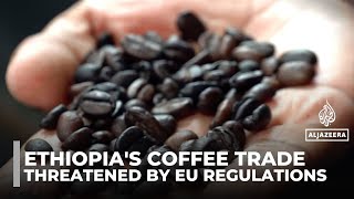 Ethiopian coffee farmers struggle with costly EU origin regulations