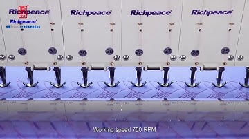 Richpeace Computerized Single color Quilting and Embroidery Machine