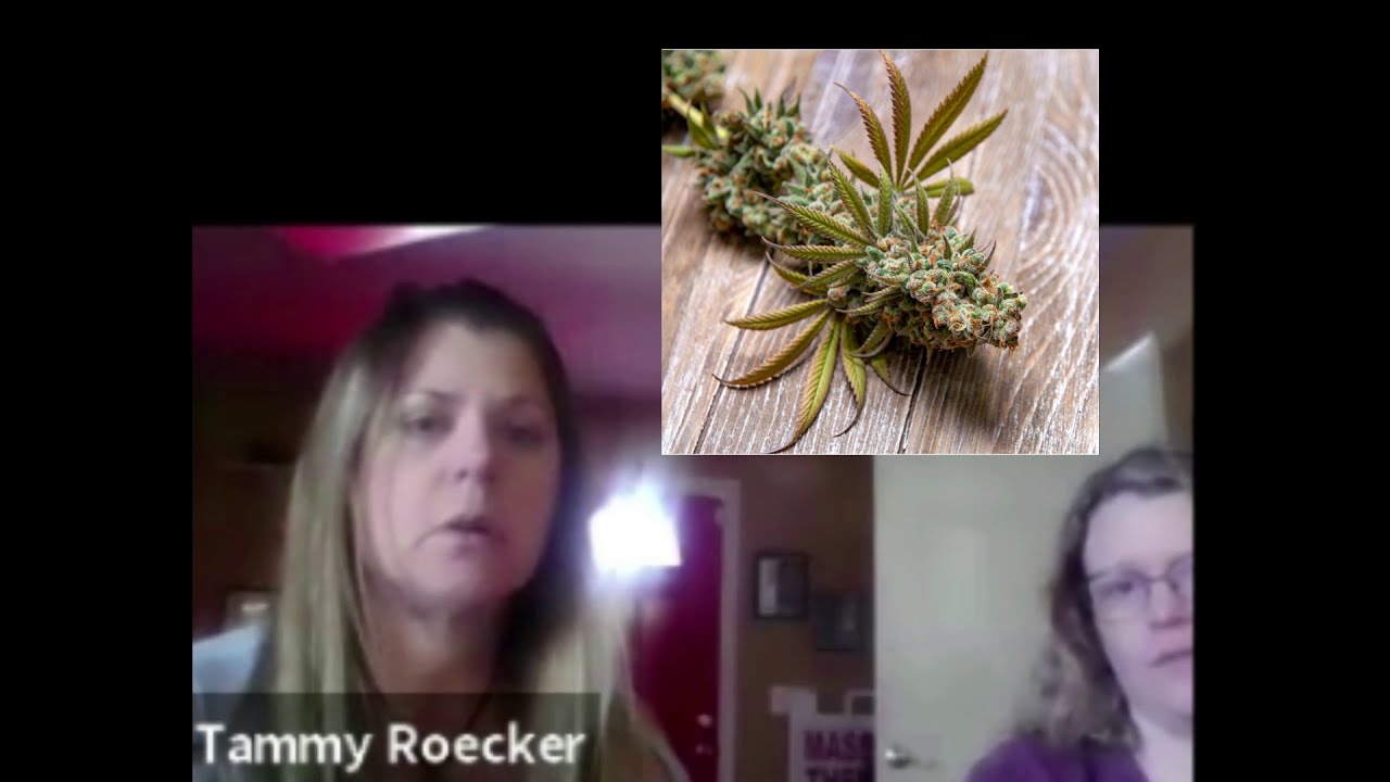 Cannabis Plant Anatomy