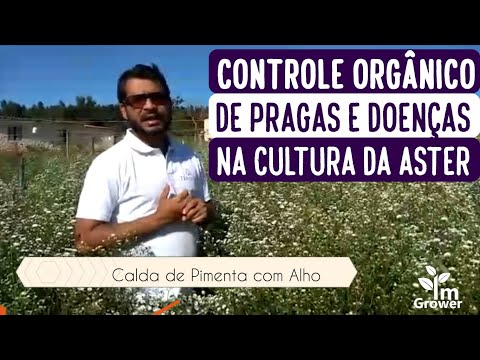 Vídeo: Controle De Pragas Em Plantações De Flores