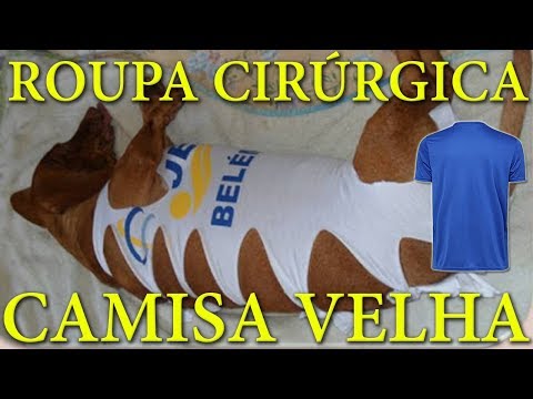 Vídeo: Como Cuidar Do Seu Animal De Estimação Após A Cirurgia