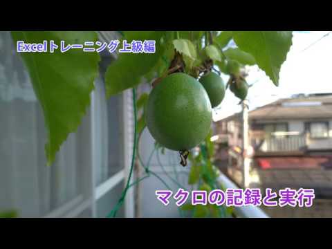 Excelトレーニング上級編 - マクロの記録と実行