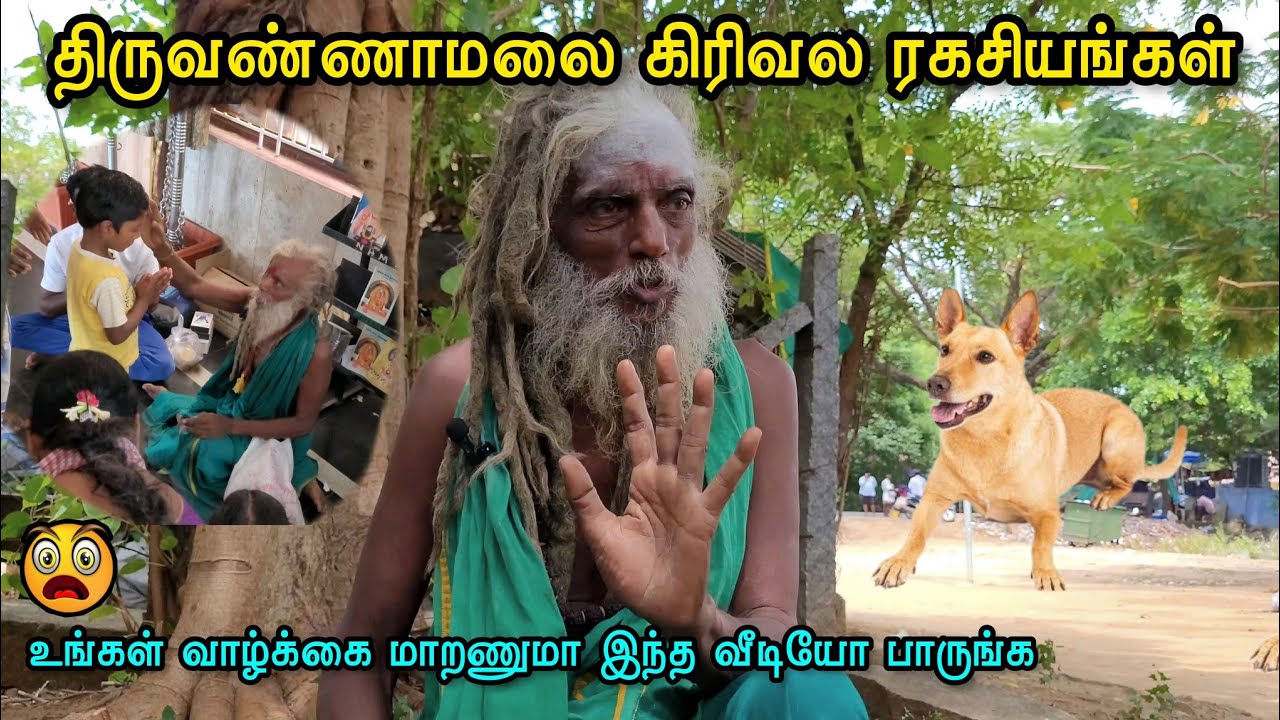 😱திருவண்ணாமலை கிரிவல ரகசியங்களை பற்றி கூறும் பச்சை சாமியார்🙏🕉 #tiruvannamalai #sithar #samiyar