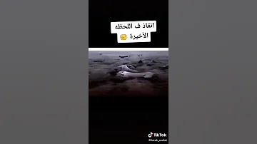 احلى فيديو للاسد ضد الضبع 