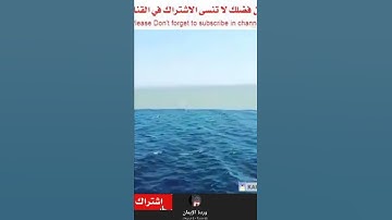 سورة الرحمن.ماشاء الله