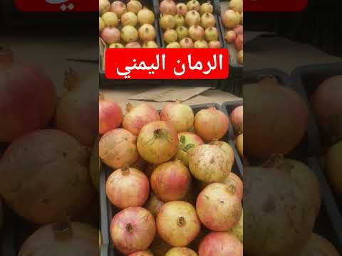 الرمان اليمني افضل فاكهة رمان فوائد الرمان أرض طيبة 