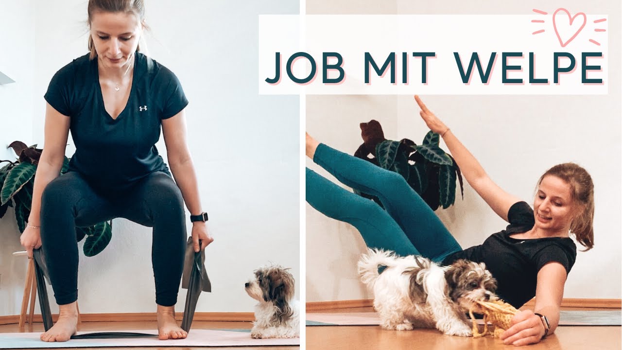 Homeoffice mit Welpe möglich? Unsere Erfahrung
