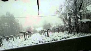 SNC00054.mp4