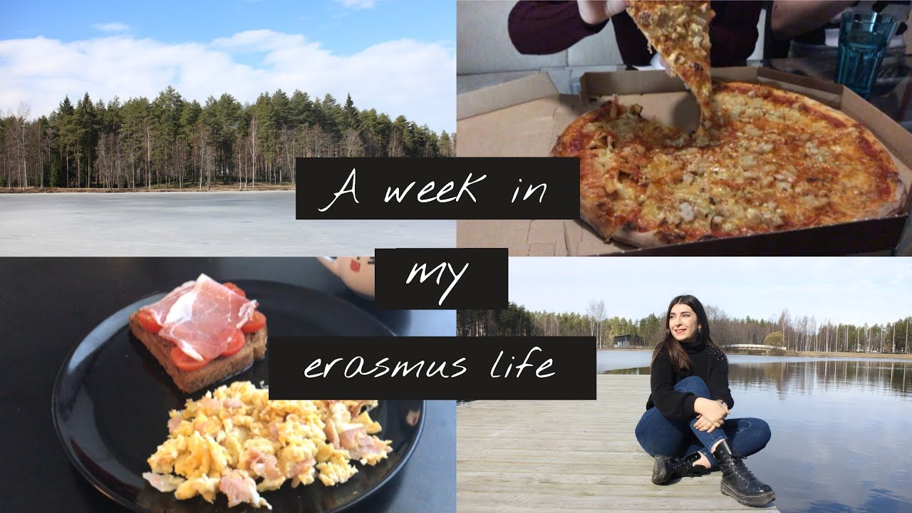Erasmus en Finlandia | Weekly vlog + prácticas de Enfermería