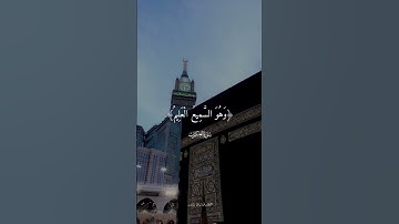 من سورة العنكبوت | بصوت القارئ زين بدور