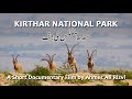 Kirthar National Park  |  Sindh Ibex ki Jannat