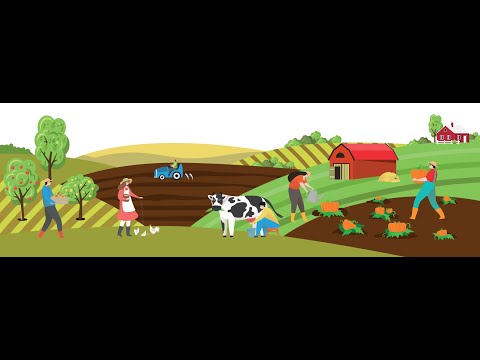 სრული საპროექტო განაცხადის შევსების ინსტრუქცია