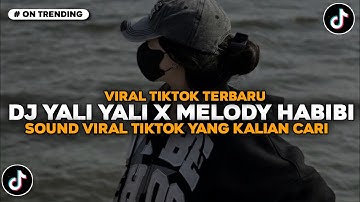 DJ TIKTOK TERBARU 2025 🎵 YALI YALI YALI MADE IN ROMANIA X MELODY HABIBI VIRAL TIKTOK TERBARU!!!