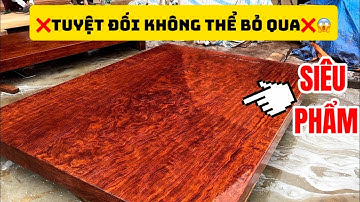 ❌ TUYỆT ĐỐI KHÔNG THỂ BỎ QUA - Siêu Phẩm Chiếu Ngựa Nguyên Khối Gỗ Cẩm Lai Vân Chun Nét Như Sony