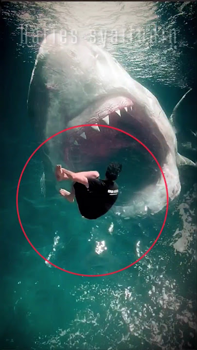 Seriously‼️jumping on a megalodon shark #amazing #viralvideo #trending