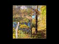 Pogodny jesienny dzień w lesie (2023) A sunny autumn day in the forest (4K/UHD)