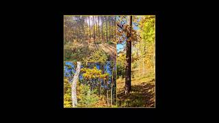 Pogodny jesienny dzień w lesie (2023) A sunny autumn day in the forest (4K/UHD)