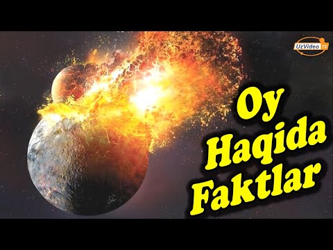Oy haqida Biz