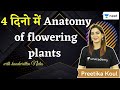 NEET: 4 dino me Anatomy in Flowering Plants | L3 | Biology | Unacademy NEET | Preetika Koul