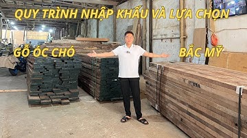 Quy Trình Nhập Khẩu Và Lựa Chọn Gỗ Óc Chó Bắc Mỹ Của Nội Thất VM Homes | Nội Thất Gỗ Óc Chó VM Homes