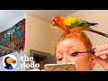 Parrot Has A Say In Every Single Thing His Mom Does — And She Loves It | The Dodo Soulmates