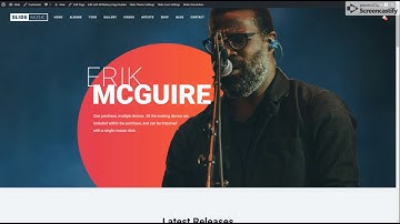 Import Slide Music WordPress Theme Demo
